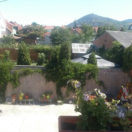 Zaric Guest house